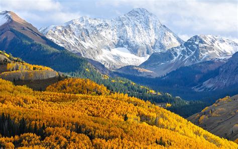 Beautiful Places In California Autumn In Colorado Birch Forest With