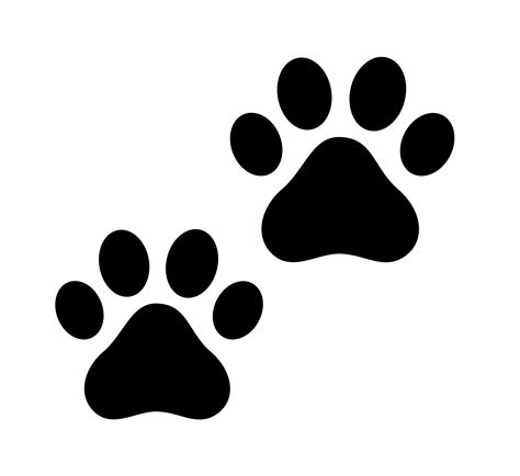 Are Cat And Dog Paw Prints The Same