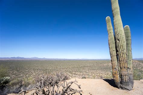 Saguaro National Park Ou Les Cactus Darizona Moi Mes Souliers