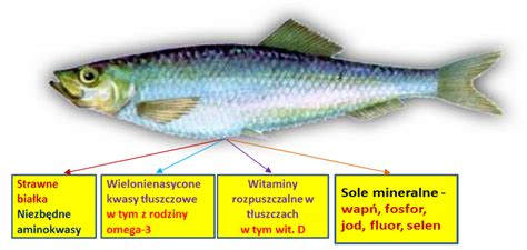 The nutritional value of fish is very high, which is why people around the world value this product so highly. Wartość odżywcza ryb i przetworów rybnych | Morski ...