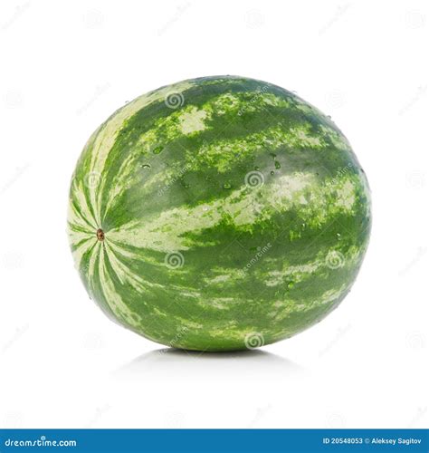 Green Striped Watermelon Stock Image Image Of Dessert 20548053
