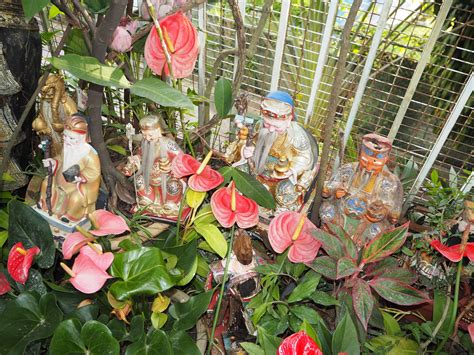 This channel was generated automatically by youtube's video discovery system. Kee Hua Chee Live!: ''A'' FOR ANTHURIUMS! RED THEY SAID ...