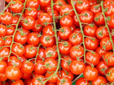 This home garden favorite produces large cascades of small sugary sweet cherry tomatoes. These perfect cherry tomatoes | Rebrn.com