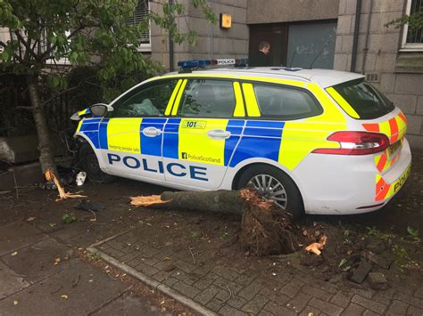 Video Police Car Crashes Through Tree And Into Wall On Aberdeen Street