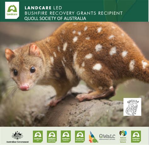 Surveys And Public Education For The Spotted Tailed Quoll In South East