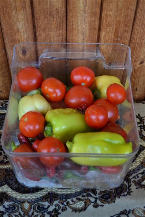 Vegetables Stilllife Tomatoes Peppers Cucumbers Stock Image Image Of