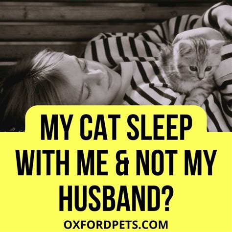 Why Does My Cat Sleep With Me And Not My Husband 5 Ways To Change