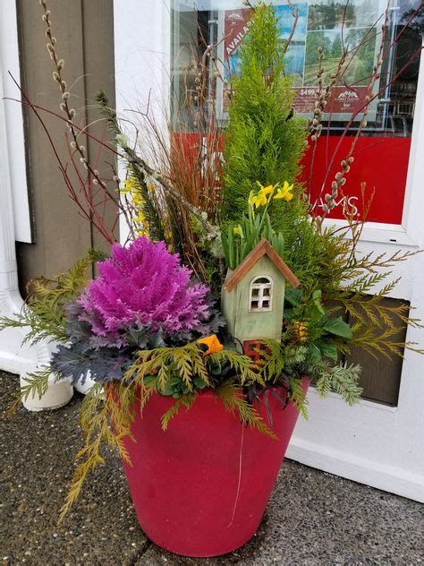 Bright Fall And Winter Flower Pot Backyard Makeover Pinterest
