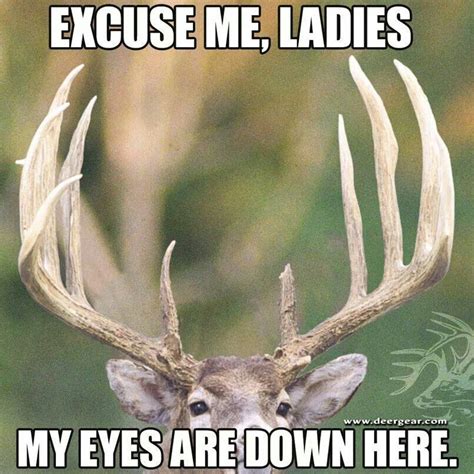 Pin By Rori Boseman On Funnies Hunting Humor Deer Hunting Humor