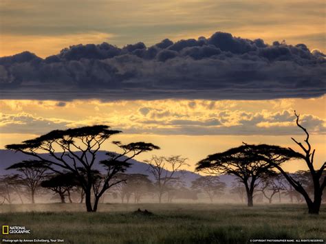 Tanzania Wallpapers 4k Hd Tanzania Backgrounds On Wallpaperbat