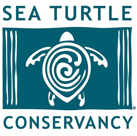 Pin By Maggie Lougirl502 On Awareness Save The Sea Turtles Turtle