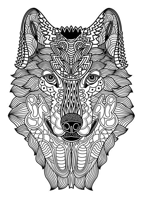 Wild Animals To Color Colorish Free Coloring App For