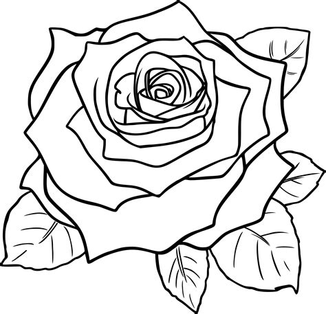 Rose Outline Line Drawing Of A Rose Free Download Clip Art Png Clipartix