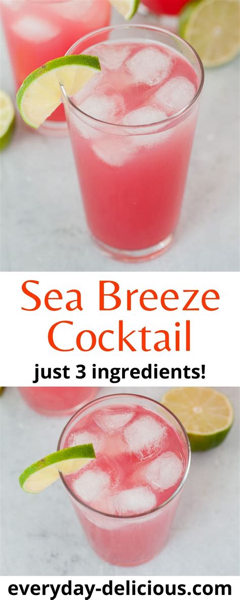 Sea Breeze Cocktail 3 Ingredient Drink Everyday Delicious