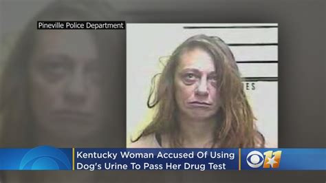 Woman Accused Of Using Dogs Urine To Try To Pass Drug Test Youtube