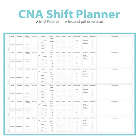 CNA Brain Sheet - Etsy