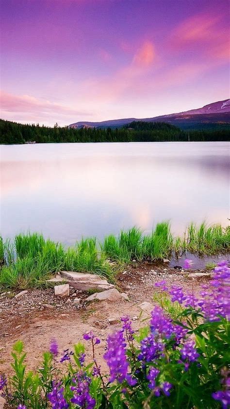 Lake Mountain Landscape Grass Trees Spring Flowers Background Phone
