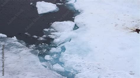 Video „floating Ice Chunks In The Arctic Ocean Floating Ice Chunks In