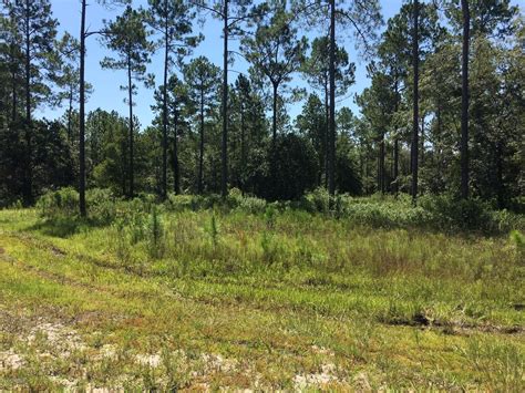 Lake Butler, Union County, FL Undeveloped Land, Lakefront Property