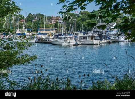 August 2019 - Boats docked in the harbour inlet from the Waterfront