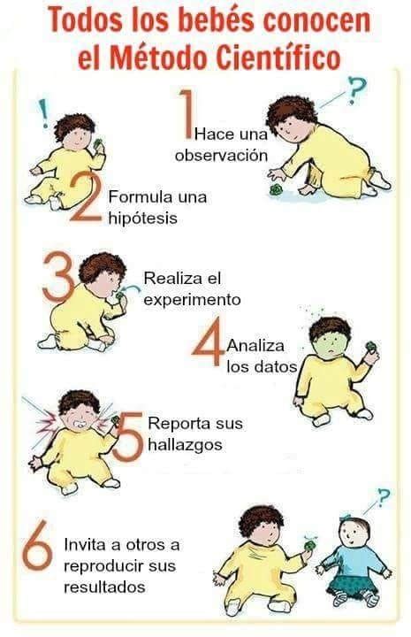 El Método Científico En Los Bebés Para Niños