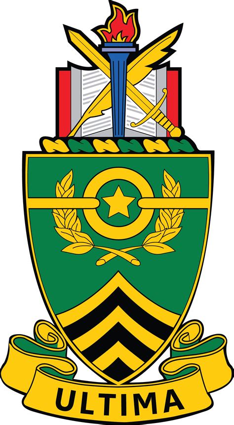united states army sergeants major academy png - Clip Art Library