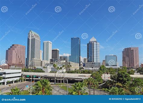 Tampa Office Building With Palm Trees Royalty Free Stock Image