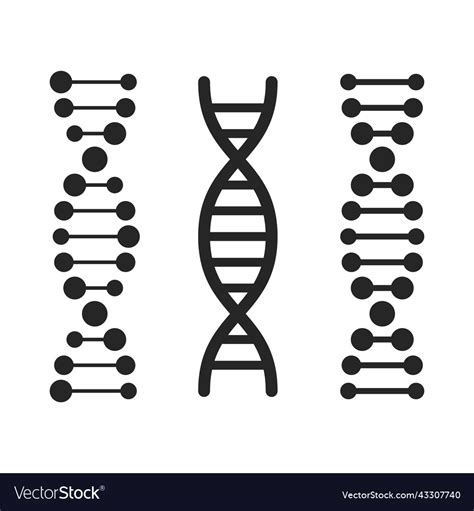 Dna Icons Set On White Background Royalty Free Vector Image