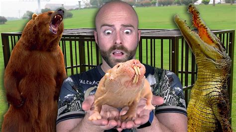I am always concren about the theme of my project because it seems like too personal. 10 Most Dangerous Exotic Pets People Actually Have! - YouTube