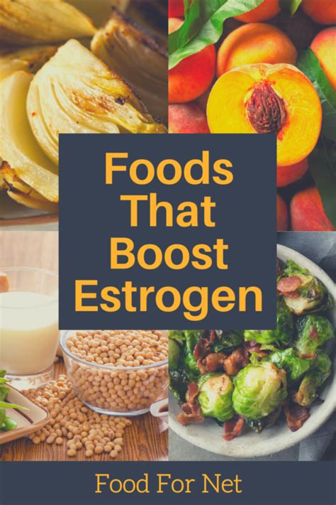 19 Estrogen Rich Foods And Foods That Boost Estrogen Food For Net
