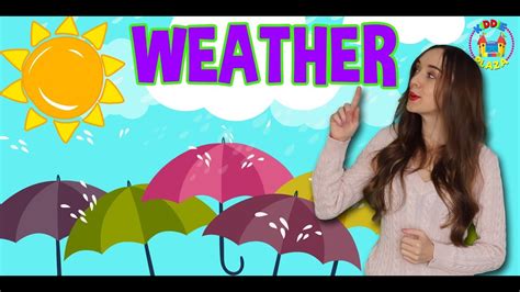 Learn The Weather For Kids Weather Types Weather Children Youtube