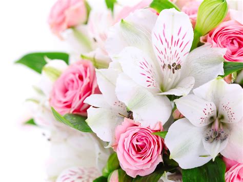 Un Ramo De Flores Rosas Rosadas Orquideas Blancas Fondos De Pantalla