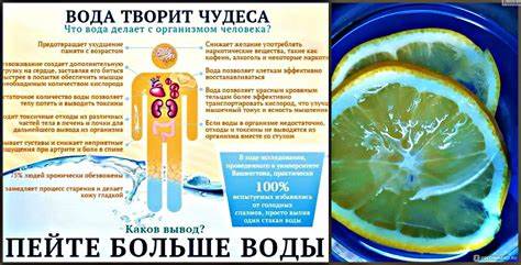 Меню водная диета