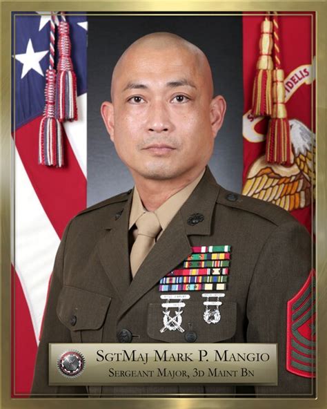 Sergeant Major Mark Mangio 3d Marine Logistics Group Leaders Bio