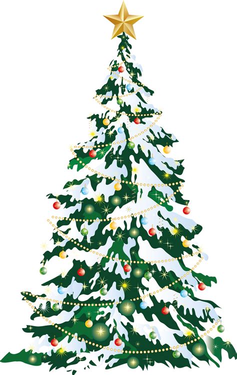 Christmas Tree Png Transparent Image Download Size 808x1280px