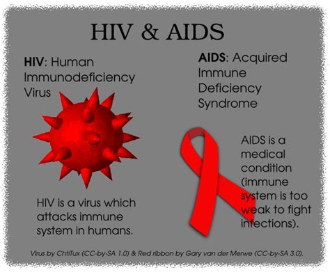 World Aids Day 2012 When Will We Live In An Aids Free World Into