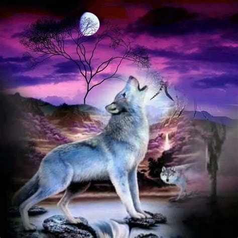 Love It Wolf Photos Wolf Pictures Tier Wolf Magical Wolf Wolf