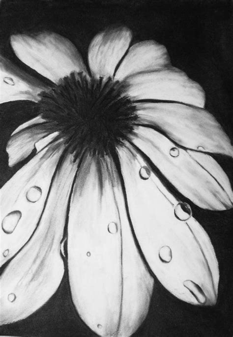 10 Staggering Charcoal Easy Things To Draw Ideas Charcoal Art
