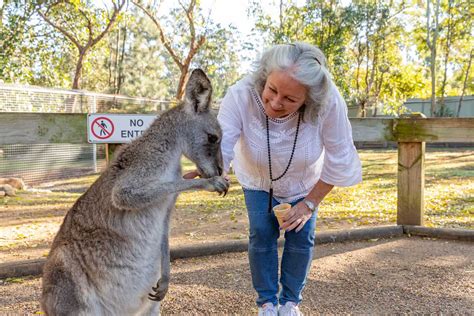 Feeding Kangaroos At Featherdale Wildlife Park Fj Tours Blue