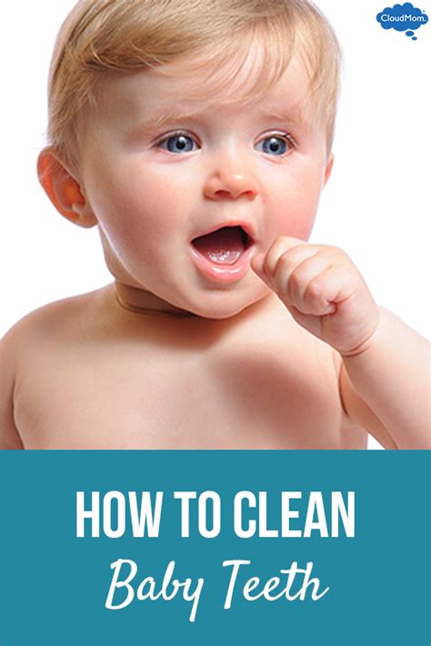 Right now, they're all gums and baby coos, but soon enough, that first tooth will emerge and the journey will begin. When Baby Gets Teeth and How to Clean Them | CloudMom