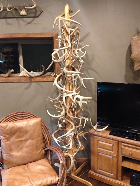 20 ways to display deer sheds