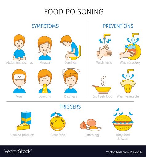 Food Poisoning Symptoms Triggers And Preventions Vector Image