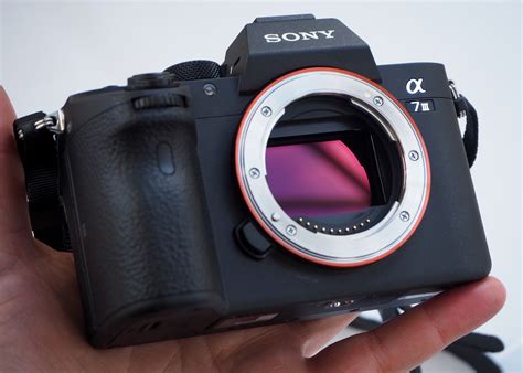 Sony Alpha A7 Mark Iii Ilce 7m3 Expert Review