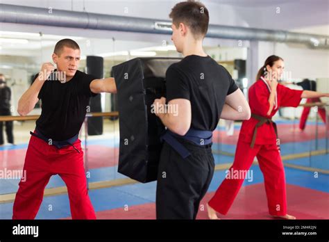 Man Punching Kick Shield In Martial Arts Training Stock Photo Alamy