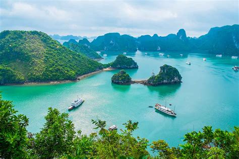 Asia Cruise Destinations Predicted To Rise Highlights Clia Report Cruise Trade News