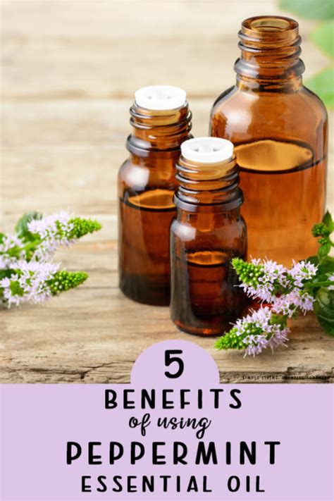 5 Benefits Of Using Peppermint Essential Oil Simple Living Creative