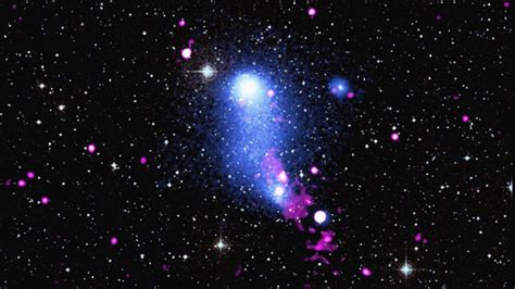 Starburst Galaxies Obscure Greedy Supermassive Black Holes Revealing