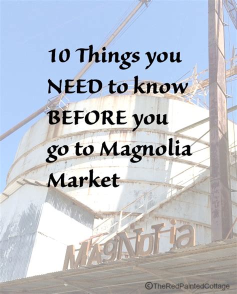 10 Things You NEED To Know BEFORE You Go To Magnolia ...