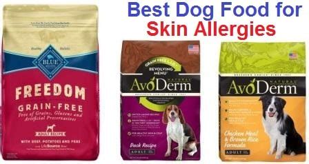The allergies occur as a response of the immune system to diverse irritants, causing the allergy symptoms. Top 15 Best Dog Food for Skin Allergies in 2020