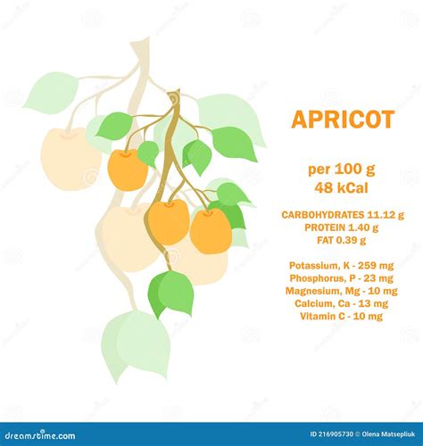 Vitamins Minerals And Calorie Information About Nutrition Facts Apricot Fruit Conceptual